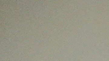 Trump afirmó que no tiene tiempo para pensar en Musk, porque está ocupado con los temas de China, Rusia, buscando el fin de la guerra con Ucrania, y con Irán.