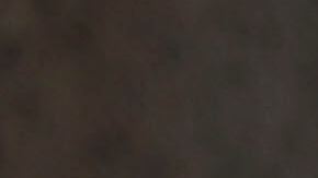 Conferencia de prensa de representante Nydia Velázquez en NYC