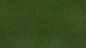 Cristiano Ronaldo se muestra feliz tras ganar la UEFA Nations League.