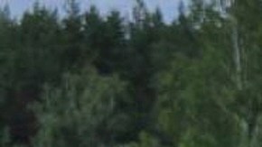 Zelenski confirmó el intercambio.