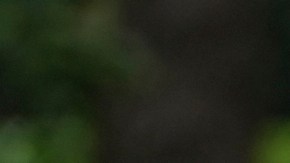 Las protestas contra ICE llegaron hasta la MLS.