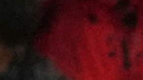 El Bayern Múnich buscará consolidar su tercer triunfo en el Mundial de Clubes.