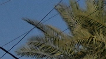 Liderazgo del ayatolá Jamenei se ha visto en peligro.