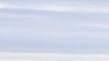 Caminantes en Everglades National Park, en Florida