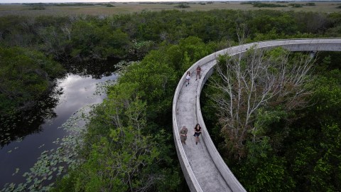Caminantes en Everglades National Park, en Florida