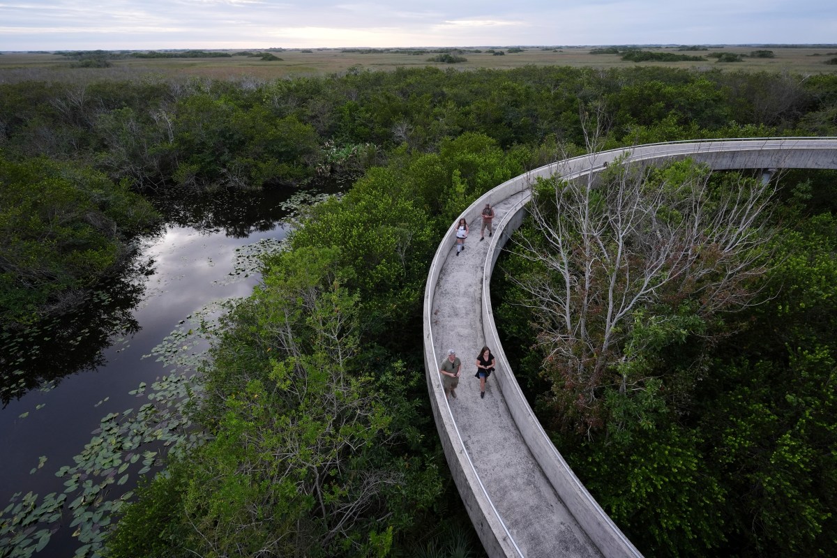 Ambientalistas batallan para frenar el "Alligator Alcatraz" que construyen para encerrar a 1,000 migrantes en Florida