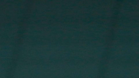 Andy Murray será inmortalizado con una estatua en Wimbledon