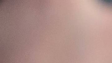 Trump aseguró el lunes que hubo un "cese al fuego".