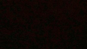 Zohran Mamdani celebrando en Queens (NYC) su triunfo en las primarias demócratas.