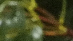 Novak Djokovic confiesa que le "robaría" el vestuario a David Beckham: "Es un referente de moda"