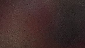 New York Yankees pierden por lesión a Fernando Cruz uno de sus mejores relevistas