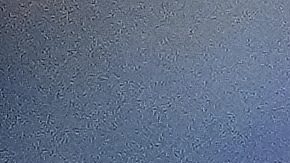 Shohei Ohtani y Aaron Judge elegidos para el All Star Game 2025 como los más votados