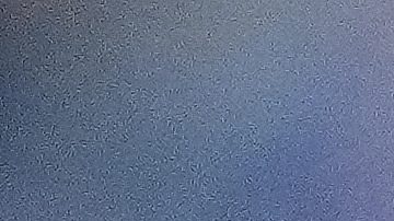 Shohei Ohtani y Aaron Judge elegidos para el All Star Game 2025 como los más votados