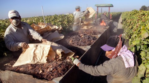 Trabajadores de la industria agrícola en Fresno, California