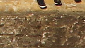 Muere piloto de 21 años Matteo Doretto tras estrellarse contra un árbol en el Rally de Polonia