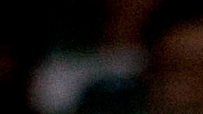 Seguidores del León durante un encuentro en la Liga MX.