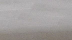 Caramelo captado en llegada a Puerto Rico.