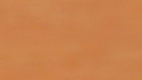 El aguacate es llamado el oro verde por su alto nivel nutricional.