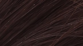 Tomar un ajo en ayunas ayuda a mejorar la digestión, la salud cardiovascular y más.