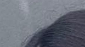 Alana Lliteras y Guty Carrera exponen su relación, por primera vez, en Telemundo.