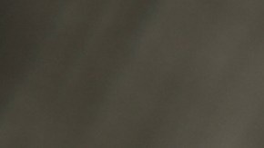 El anís estrellado es rico en biocompuestos que tiene efectos medicinales, según los estudios.