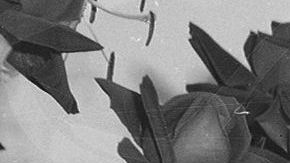 Audrey Hepburn vivió en varias residencia en Estados Unidos.