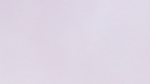 Bad Bunny ofrecerá una gira mundial en apoyo a su álbum 'DeBÍ TiRAR MáS FOToS'.