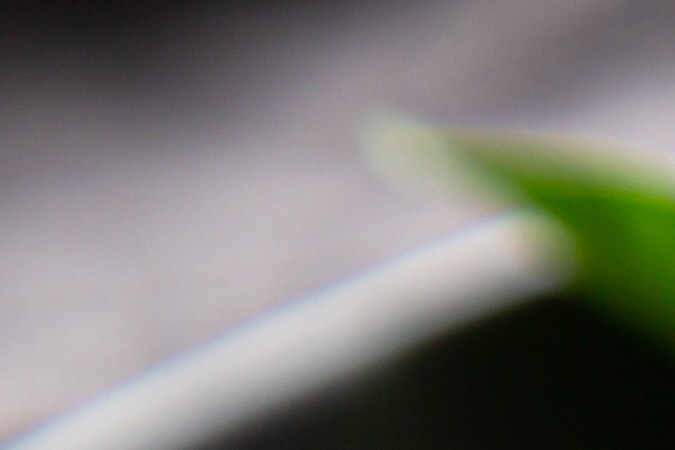 Sweet potatoes are super versatile and inexpensive, making them easy to add to your diet.