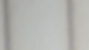 Ben Askren y su esposa Amy Askren.