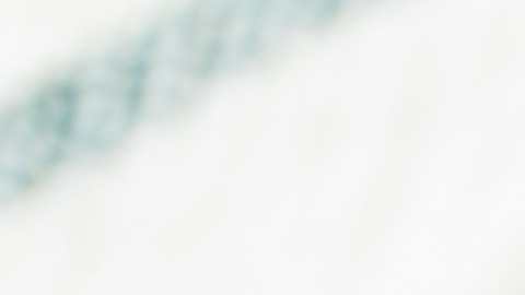 La textura de la berenjena hace que absorba mucho aceite si las freímos.