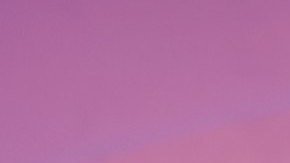 Caramelo, ganador del reality show La Casa de los Famosos All-Stars.