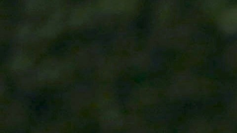 Carlos Ponce y Ximena Duque.