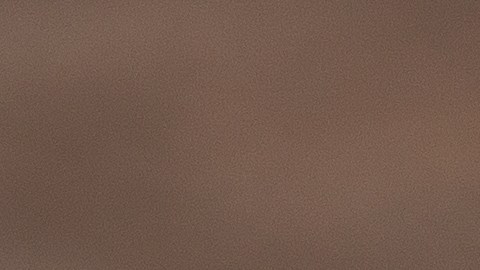 La carne puede cambiar de color por diferentes motivos.