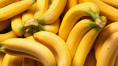 Bananas