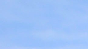 Chofer transporte escolar