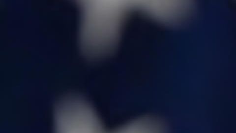 David Richardson, director interino de FEMA