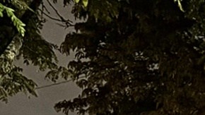 El hombre de 39 años entró al país sin papeles por California en 2023, indicaron las autoridades.