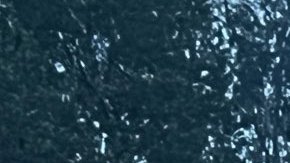 La causa del incendio sigue bajo las pesquisas de las autoridades, y la Guardia Costera está investigando el incidente.