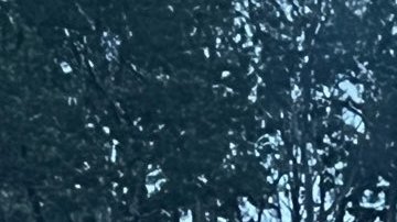 La causa del incendio sigue bajo las pesquisas de las autoridades, y la Guardia Costera está investigando el incidente.