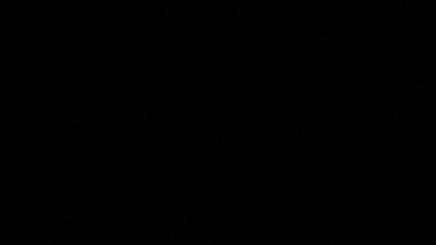 Shutterstock y Getty Images