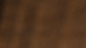 Wienerschnitzel abrirá restaurantes dentro de las tiendas Walmart en seis estado del país