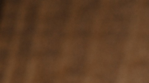 Wienerschnitzel abrirá restaurantes dentro de las tiendas Walmart en seis estado del país