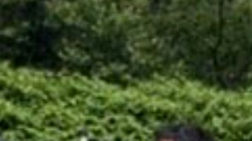 La investigación inició por uno de los trabajadores indocumentados.