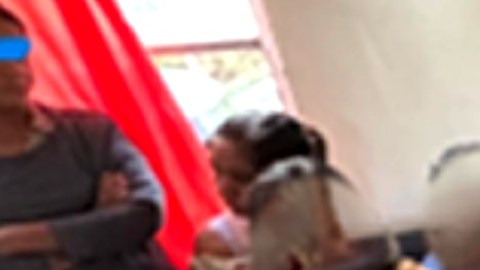 Las personas arrestadas son de distintas nacionalidades.