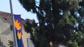 DHS rechaza que se "demonice" al ICE y alerta por aumento de agresiones a sus oficiales