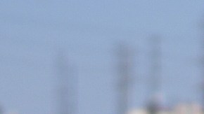 Las redadas de migrantes han generado protestas en varias ciudades.