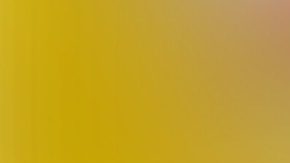 En la imagen Manelyk González junto a Pamela Noa.