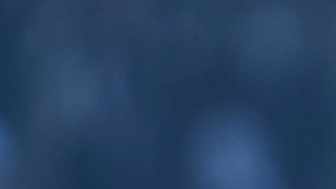 Joana Sanz destaca su embarazo con Dani Alves.