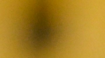 Mauricio Culebro apuesta por el futuro de los Tigres de la UANL.