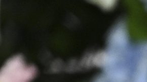 Jay Harris, periodista de ESPN.